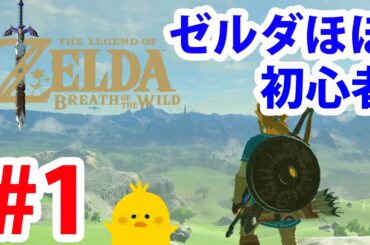 #1【ゼルダの伝説】ゼルダ初心者実況【実況プレイ】ブレス オブ ザ ワイルド Nintendo Switch
