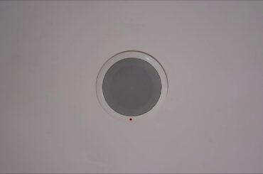 イオンモール館内放送　ブラックフライデー2020　ブラックパンダ