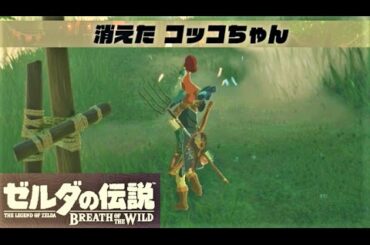 【消えた コッコちゃん ボガードのイベント】 攻略 ゼルダの伝説 ブレスオブザワイルド  "Flown the Coop" Zelda BREATH OF THE WILD