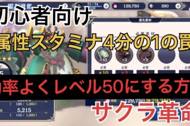 【サクラ革命】属性クエスト スタミナ4分の1の罠 初級者向け レベル50にする方法 進化で悩んでいる方向け 【サクラ革命】属性クエスト スタミナ4分の1の罠 初級者向け レベル50にする方法 進化で悩んでいる方向け