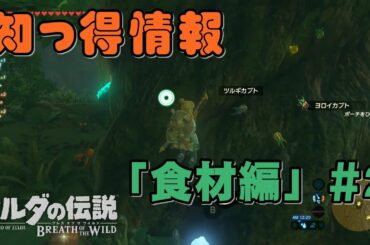 ゼルダの伝説 ブレスオブザワイルド　 知っ得情報　「食材編」＃ 2