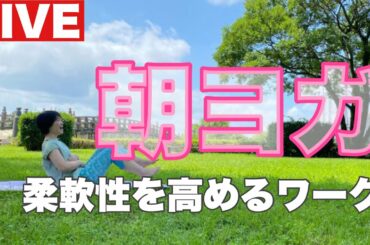 朝ヨガライブ  柔軟性を高めるワーク 猫とスピリチュアル