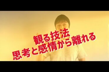 観る技法　思考と感情からの脱却　＜有料の動画を無料で一部公開シリーズ＞