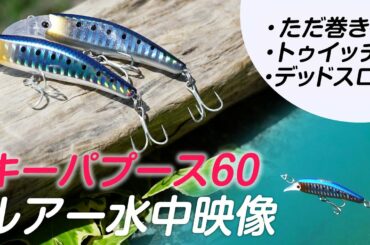 【キー・パプース60】だたのシンキングミノーじゃない！使い方一つで魚の「やる気スイッチをON」させるトリッキーなミノー