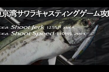【オフショア】東京湾サワラキャスティングゲーム攻略【サワラキャスティング入門者必見！】