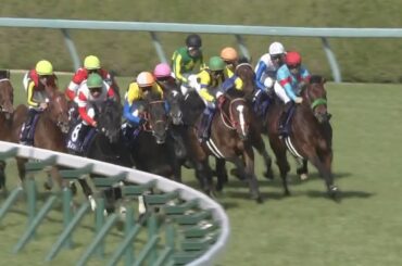 2020 大阪杯 ラッキーライラック