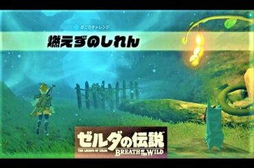【燃えずのしれん : ダミダミのイベント コログしれん】 攻略 ゼルダの伝説 ブレスオブザワイルド  "The Test of Wood" Zelda BREATH OF THE WILD