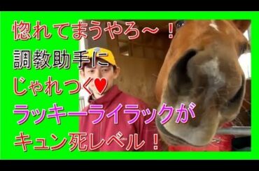 じゃれつくラッキーライラックがかわわ過ぐる【ウイニング競馬】