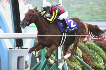 ラッキーライラック 新馬戦〜大阪杯まで全レースまとめ