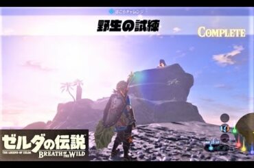 【野生の試練 : ほこらチャレンジ　サイハテノ島】 攻略 ゼルダの伝説 ブレスオブザワイルド  "Stranded on Eventide" Zelda BREATH OF THE WILD
