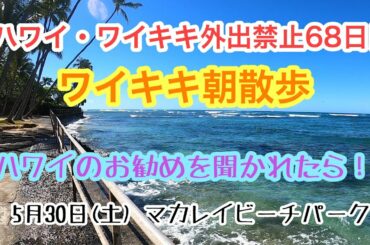 【ハワイ・ワイキキ外出禁止68日目】ワイキキ朝散歩、ハワイのお勧めを聞かれたら！？