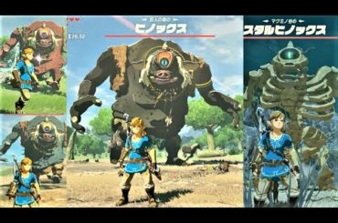 【ヒノックス類 全40体の場所】 攻略 ゼルダの伝説 ブレスオブザワイルド  "All 40 Hinox and Stalnox Locations" BREATH OF THE WILD BOTW