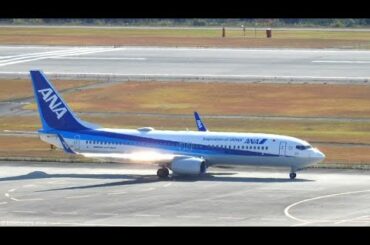 広島空港の滑走路を俯瞰で眺められる展望台（中央森林公園展望所）