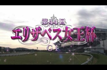 【エリザベス女王杯2019】父オルフェーヴルの凱旋門賞を実況した岡安アナが娘のラッキーライラックの復活Vを実況
