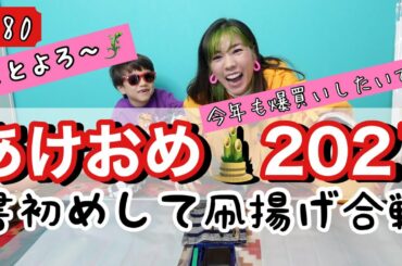 あけおめ〜なテンションで書初めして凧ぶっ放したら本厄女の本領発揮しちゃってトカゲくん爆泣きした🙏😂🎍✨🪁