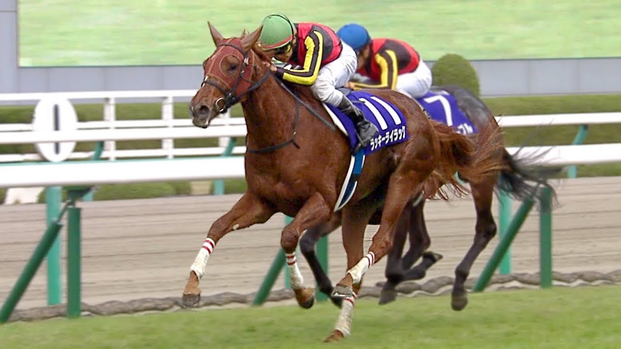 2017/12/10 第69回 阪神JF(GⅠ)【ラッキーライラック】 2017/12/10 第69回 阪神JF(GⅠ)【ラッキーライラック】