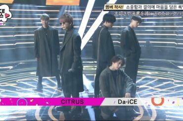 【Da-iCE】CITRUS 『極主夫道』 主題歌 LIVE ver