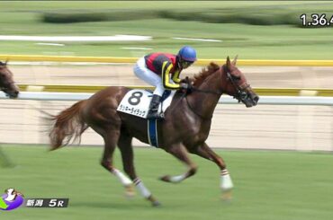 2017/08/20 新潟5R 2歳新馬〈牝〉【ラッキーライラック】