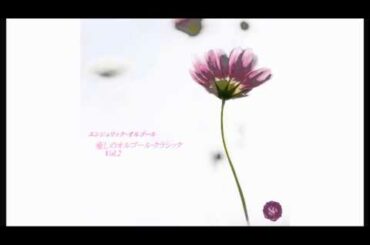 主よ人の望みの喜びよ/バッハ【癒しのオルゴールBGM】