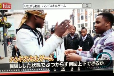 イッテQ木村佳乃