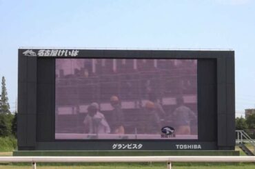 ２０１３年　函館スプリント　ファンファーレ　in　名古屋競馬場