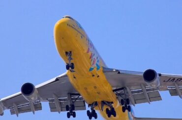 [羽田カーブ]B747-400 羽田空港C滑走路16Lランディング