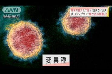 感染力1.7倍？英で変異種が猛威　欧州各地で混乱も(2020年12月21日)