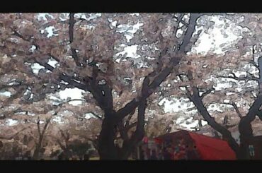 JGR_春の歌/夜明けは近い