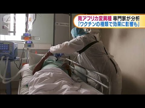 南アフリカ変異種 専門家「ワクチンの効果に影響」(2021年1月8日) 南アフリカ変異種 専門家「ワクチンの効果に影響」(2021年1月8日)