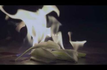 【BTS】Your eyes tell