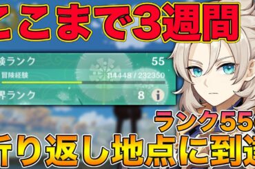 【原神】遂にランク55の半分(11万経験)、折り返し地点に到達！！！【げんしん,Genshin】