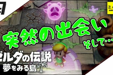 #7【三人称】ドンピシャのゼルダの伝説 夢をみる島【switch】
