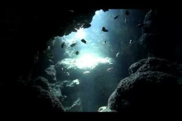 なるほど・ザ・ケイブ②