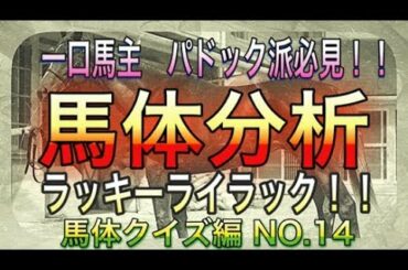 【競馬】　馬体分析　馬体クイズ編　NO.14 ラッキーライラック