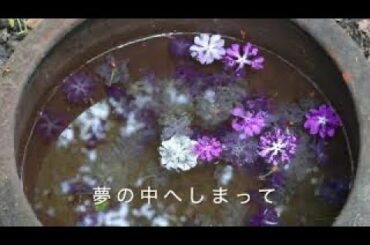明日は君の誕生日だ