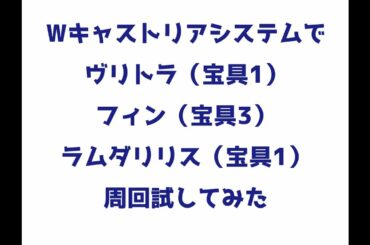【FGO】フィン・ヴリトラ・ラムダでWキャストリアシステム周回検証してみた【A全体槍】