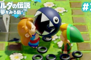 見境なく噛みつこうとするワンワン #2【ゼルダの伝説 夢をみる島】