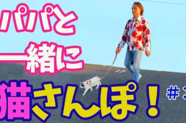 【保護猫】引きこもりパパとニャンコのルーティーン！ほっこり！　　　[Cat walk] Daily routine of withdrawal dad and protected cat