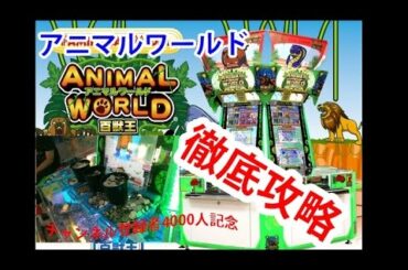 【メダルゲーム攻略】アニマルワールド百獣王　必勝攻略法