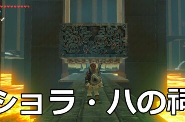 [ゼルダの伝説]ショラ・ハの祠をクリアした。宝箱もコンプリートした。