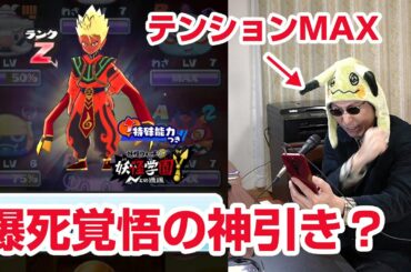 【ぷにぷに攻略】爆死か神引きか！出るまで エンマ大王（Y学園）追加ガシャ ミケッティオの倒し方 エンマダイ理事長 ぷにっとショット 妖怪学園Ｙ 妖怪ウォッチ