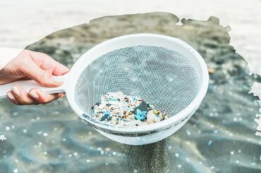 相模湾のマイクロプラスチック汚染実態を明らかにしたい！
