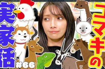 【モンハン】今考えると私の実家は動物園でした【ベリオロス討伐】＃66