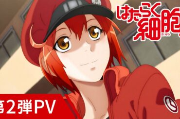 TVアニメ第2期「はたらく細胞!!」第2弾PV/2021年1月9日放送開始！