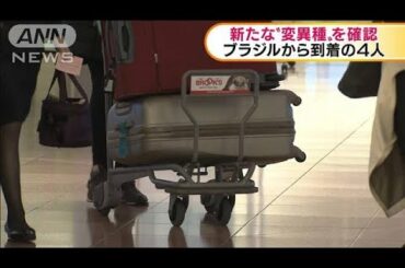 ブラジルから到着の男女4人　新たな“変異種”確認(2021年1月11日)