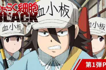 「はたらく細胞BLACK」第1弾PV│2021年1月放送開始