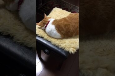 J.S.バッハ  主よ人の望みの喜びよ(ヘス編)