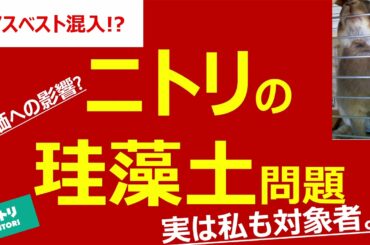 【アスベスト混入!?】ニトリの珪藻土問題