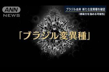 ブラジル由来か・・・新型コロナ“新たな変異種”確認(2021年1月11日)