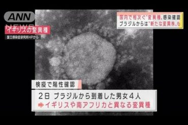 国内で相次ぐ“変異種”確認・・・検疫以外で分かる例も(2021年1月11日)